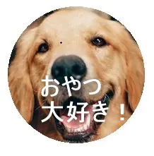 画像を丸く切り取るパソコン術