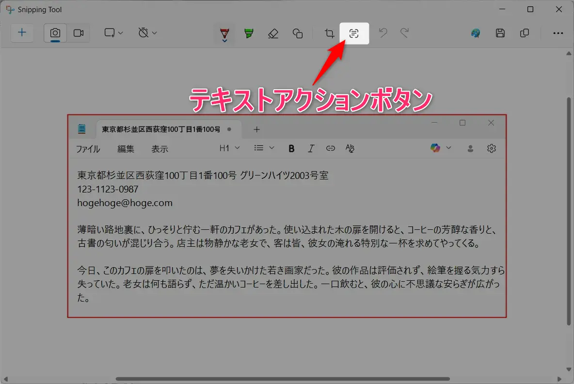 Snipping Toolのテキストアクション がない
