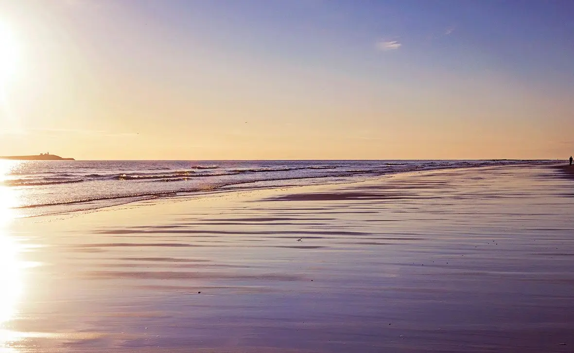 edge 検索バー 非表示